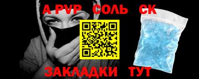 крисы Камышлов