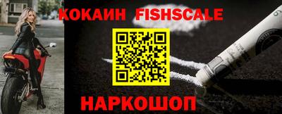 крисы Камышлов