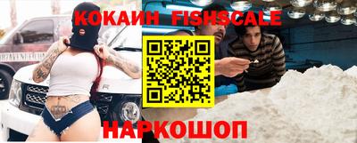 крисы Камышлов