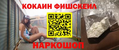 крисы Камышлов