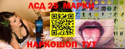 мяу мяу мука Кандалакша