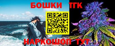 крисы Камышлов