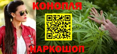 крисы Камышлов