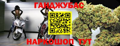 крисы Камышлов