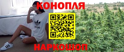 ALPHA PVP Канаш