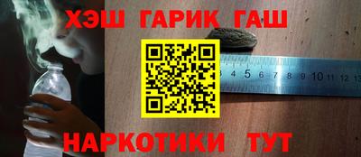 крисы Камышлов