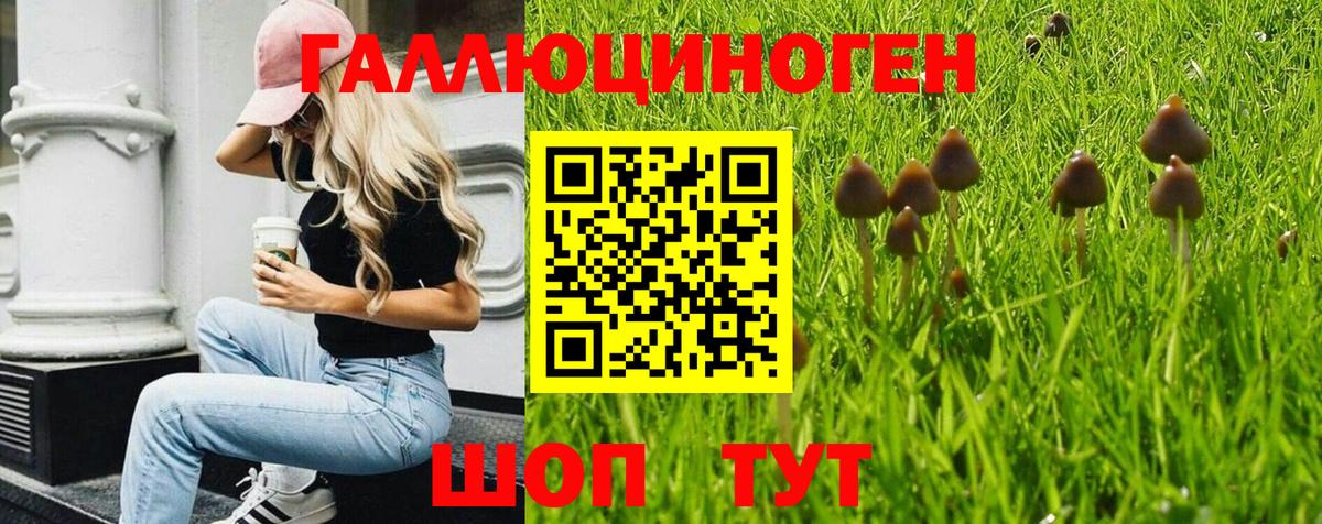 Галлюциногенные грибы Magic Shrooms  Псилоцибиновые грибы Psilocybine cubensis  Кириши  Вход с VPN 